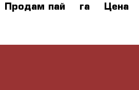 Продам пай 12 га. › Цена ­ 900 000 - Красноярский край, Емельяновский р-н, Никольское с. Недвижимость » Земельные участки продажа   